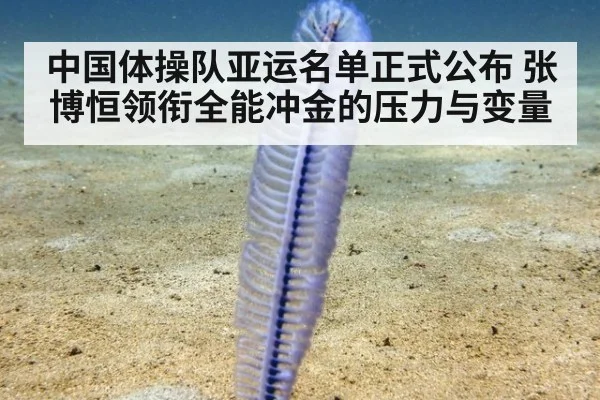 中国体操队亚运名单正式公布 张博恒领衔全能冲金的压力与变量