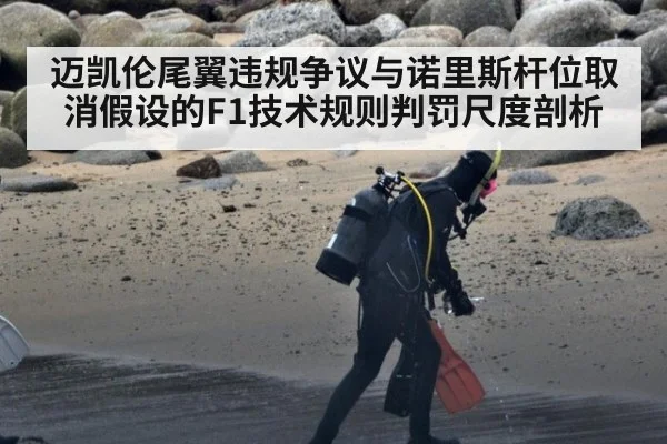 迈凯伦尾翼违规争议与诺里斯杆位取消假设的F1技术规则判罚尺度剖析